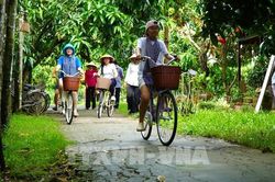 Khi nông dân đất Sen hồng đưa quả xoài đi làm du lịch