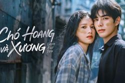 Tống Uy Long, Trương Tịnh Nghi gây xót xa trong Chó Hoang Và Xương