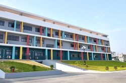 Bộ GD-ĐT lên tiếng sau vụ giáo viên Trường THPT chuyên Tuyên Quang bị giữ người khẩn cấp