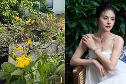 Biệt thự 1.000m2 ngập tràn sắc xanh của diễn viên Vân Trang