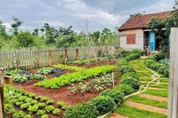 Có đòi lại đất bị người khác ở, sử dụng ổn định, lâu dài?