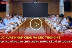 Cục Xuất nhập khẩu v&agrave; Cục Thống k&ecirc; hợp t&aacute;c n&acirc;ng cao chất lượng thống k&ecirc; chỉ số logistics