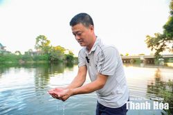 L&agrave;m r&otilde; hiện tượng nước s&ocirc;ng L&yacute; đổi m&agrave;u, c&aacute; nổi