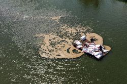 Cá tra bước vào cuộc đua giá trị