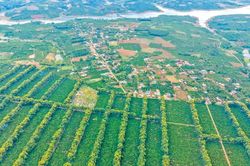 Mùa thu vàng ở thung lũng Kon Gang