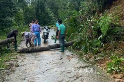 Lai Ch&acirc;u: Mưa lớn g&acirc;y thiệt hại về người v&agrave; t&agrave;i sản
