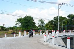 Những nhịp cầu nối bình yên qua mùa lũ