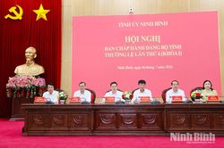 Hội nghị Ban Chấp h&agrave;nh Đảng bộ tỉnh lần thứ 6 (kh&oacute;a I)