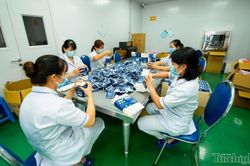 Quảng Ninh có gần 2.500 doanh nghiệp thành lập mới trong nửa đầu năm 2026