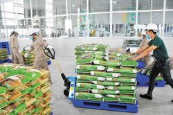 Vinaseed bị truy thu, xử phạt gần 1,4 tỷ đồng do sai phạm về thuế