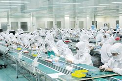 Thực hiện Nghị quyết số 10-NQ/TW: Chuyển mạnh từ tư duy đến hành động