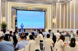 IEA hỗ trợ Việt Nam tìm lời giải cho bài toán tích hợp năng lượng tái tạo