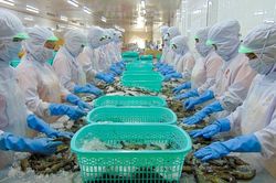 Thực phẩm Sao Ta (FMC): Doanh số giảm trở lại sau tín hiệu khởi sắc, kế hoạch lợi nhuận không đổi