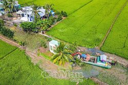 Vĩnh Thanh: Tạo đột phá từ nông nghiệp