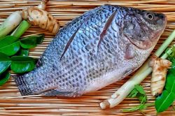 Đi chợ thấy loại cá này đừng ngần ngại mua: Giá chỉ bằng 1/10 cá hồi nhưng lượng protein còn cao hơn, được nhiều nước 'săn đón'