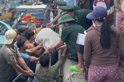 Tàu hàng tông chìm tàu cá, 1 người tử vong, 16 thuyền viên được cứu sống