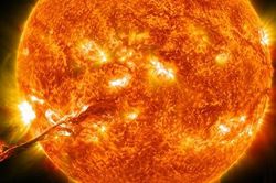 Tảo biến đổi gen có thể thu giữ vi nhựa và hỗ trợ làm sạch nước thải