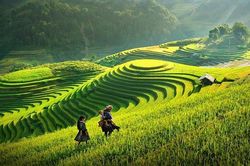 Xanh h&oacute;a c&aacute;c v&ugrave;ng du lịch trọng điểm, n&acirc;ng tầm thương hiệu du lịch Việt