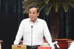 Bí thư Trần Lưu Quang: TP.HCM dồn toàn lực cho 3 mục tiêu lớn của năm 2026