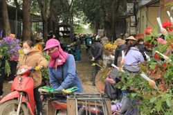 Chuyển biến tích cực về trật tự đô thị tại vựa hoa Mê Linh