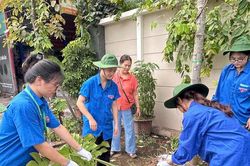 Tuổi trẻ x&atilde; Gia L&acirc;m ra qu&acirc;n b&oacute;c x&oacute;a quảng c&aacute;o, rao vặt tr&aacute;i ph&eacute;p