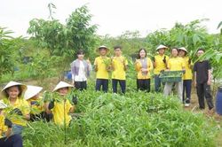 Ra mắt mô hình 'Green Hero Garden - Vườn xanh cộng đồng'