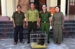 Người dân Hải Phòng giao nộp nhiều động vật quý hiếm
