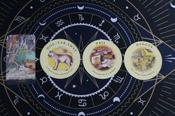 Tarot tuần này: Kim Ngưu chớ nên 'đi đường tắt', Song Tử ví tiền rủng rỉnh