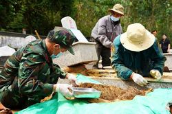 Quảng Ng&atilde;i tăng tốc lấy mẫu ADN, sớm x&aacute;c định danh t&iacute;nh liệt sĩ