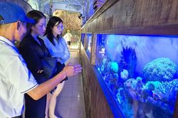 Kỳ thú Thủy cung Trí Nguyên trên vịnh Nha Trang