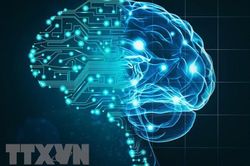 Nhà kinh tế đoạt giải Nobel: AI có thể sẽ không đưa kỷ nguyên tăng trưởng năng suất cao trở lại