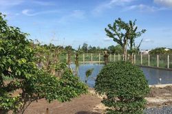 Đất sử dụng sai mục đích, có được bồi thường tài sản khi thu hồi?
