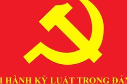 Ủy ban Kiểm tra Trung ương kỷ luật đảng viên vi phạm tại 4 tỉnh và TCT hàng không Việt Nam