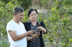 Những chính sách nhân văn chăm lo đời sống người cao tuổi