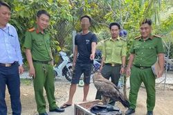 Vĩnh Long xử phạt trường hợp nuôi nhốt trái phép động vật rừng