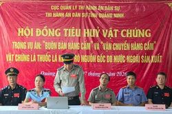 Quảng Ninh tiêu hủy 15.396 cây thuốc lá điếu là tang vật vụ án