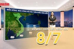 [Video] Dự báo thời tiết đêm nay và ngày mai ngày 8/7/2026: Bắc Bộ có mưa rào và dông nhiều nơi, Nam Bộ mưa dông rải rác vào chiều tối