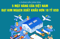 5 mặt h&agrave;ng của Việt Nam đạt kim ngạch xuất khẩu hơn 10 tỷ USD trong 6 th&aacute;ng đầu năm 2026