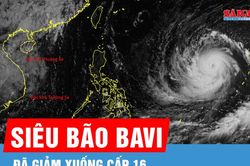 Si&ecirc;u b&atilde;o Bavi đ&atilde; giảm 1 cấp từ s&aacute;ng 7-7