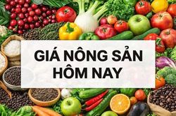 Giá nông sản hôm nay 7/7/2026: Giá cà phê tăng 'dựng đứng', thị trường rung lắc mạnh vì thời tiết; DN Việt mở rộng cửa xuất khẩu trái cây tươi sang Mỹ