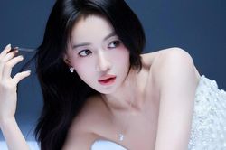 Vị thế của Ngô Cẩn Ngôn