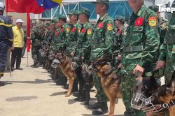 Quân khuyển Việt Nam và cuộc tìm kiếm đặc biệt ở Venezuela