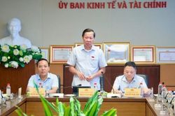 Luật Dầu khí (sửa đổi) cần cắt giảm các khâu trung gian, đảm bảo năng lượng cho phát triển