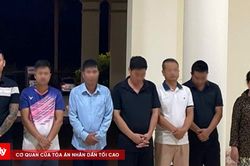 Khởi tố 10 đối tượng trong đường dây tổ chức đánh bạc và đánh bạc công nghệ cao