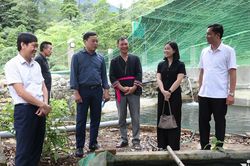 Phú Thọ: Đề nghị lồng ghép linh hoạt nguồn vốn giữa các chương trình mục tiêu quốc gia
