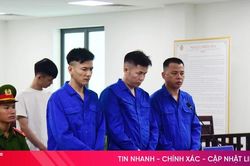4 bị cáo trong đường dây pháo lậu quy mô 'khủng' lĩnh 366 tháng tù
