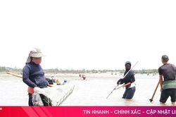 Người dân vớt 'lộc trời' trên sông Lạch Kèn