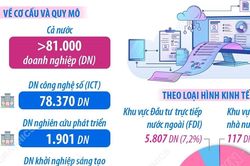 Doanh nghiệp công nghệ số giữ vai trò chủ lực trong hệ sinh thái đổi mới..