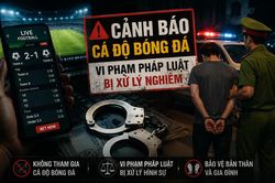 TP Hồ Ch&iacute; Minh: Triệt ph&aacute; hai đường d&acirc;y c&aacute; độ b&oacute;ng đ&aacute; hơn 3.500 tỷ đồng