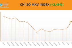 Cà phê 'thổi bùng' thị trường hàng hóa, MXV-index bật tăng 2,5%